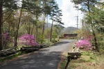 4.23ccW10.jpg